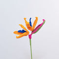 Bird of Paradise
