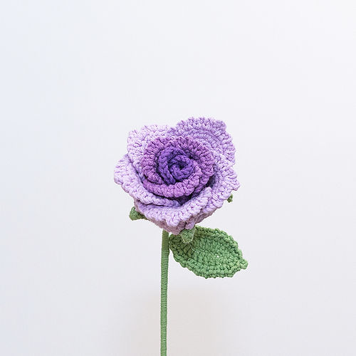 Bourbon Rose
