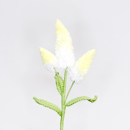 Bunny's Tail