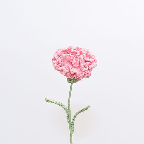 Carnation