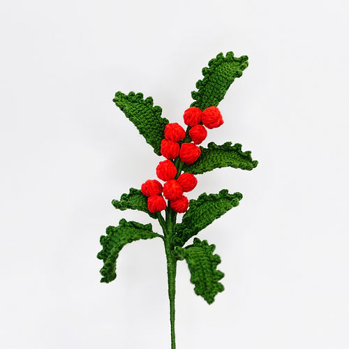 Common Holly