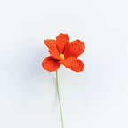Cosmos