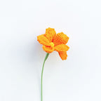 Cosmos