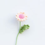 Daisy