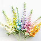 Delphinium