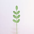 Eucalyptus Leaf
