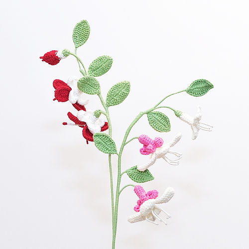 Fuchsia