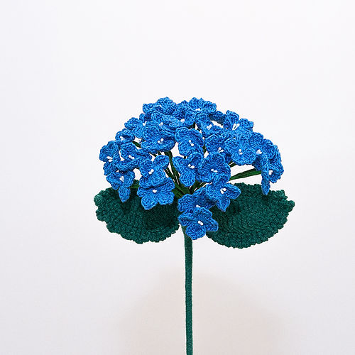 Hydrangea