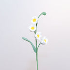 Lily of the Valley