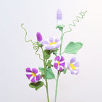 Morning Glory