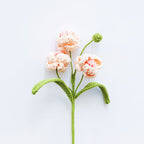 Narcissus