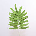 Palm
