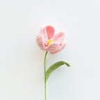Tulip