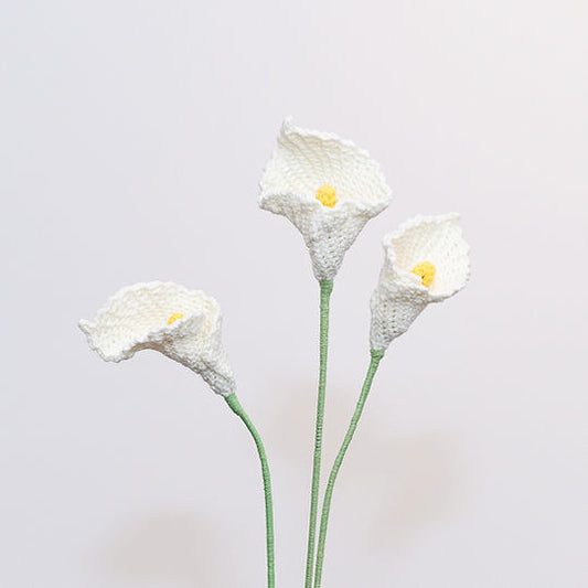 Calla-lily