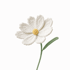 Cosmos